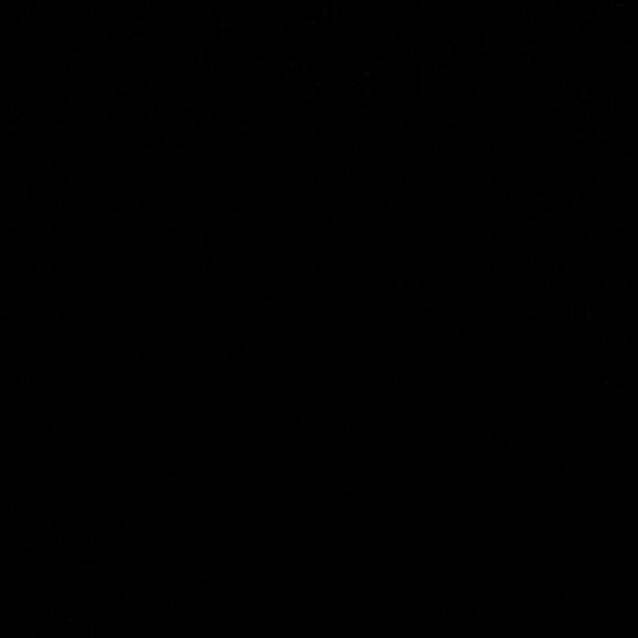 Meet your Posher, Abby - Picture 1 of 1